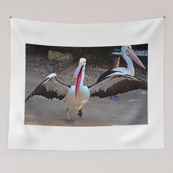 Item preview, Pelican. The prettiest water bird designed and sold by Jassy046.