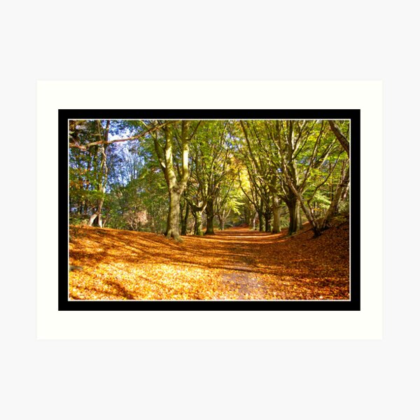 Autumn Art Print