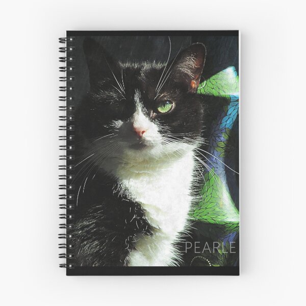 Item preview, Pretty Kitty  designed and sold by Pearle.