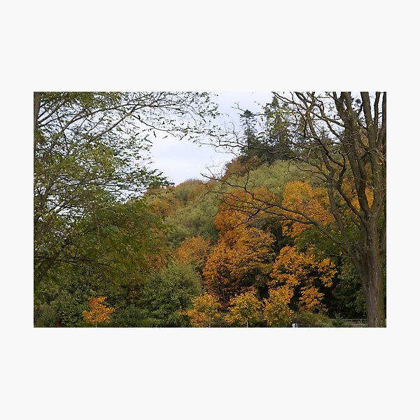 Artikelvorschau, Looks Like Fall, Feels like Fall entworfen und verkauft von Loisb.