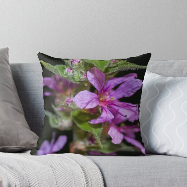 Item preview, The Little Things In Life designed and sold by Adam Kuehl.