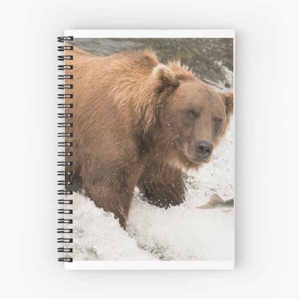 Item preview, Bear about to catch salmon on waterfall designed and sold by Nick Dale Photography.