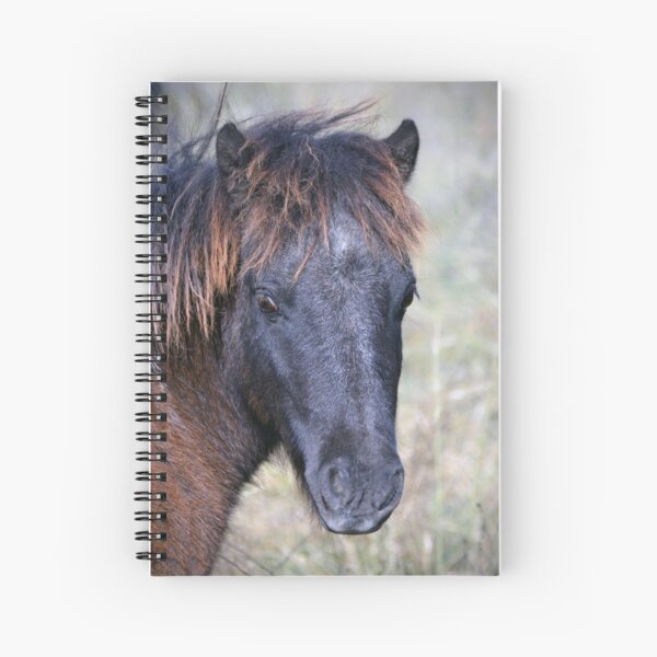 Aperçu de l'œuvre Texas Miniature Horse créée et vendue par Savannah Gibbs.
