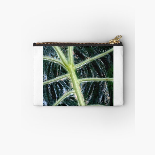 Item preview, Big Green Leaf designed and sold by photograham.