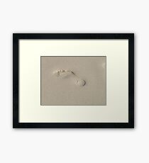Who? Framed Print