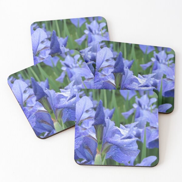 Item preview, Blue Flag Iris designed and sold by Honey Myrtle Studio.