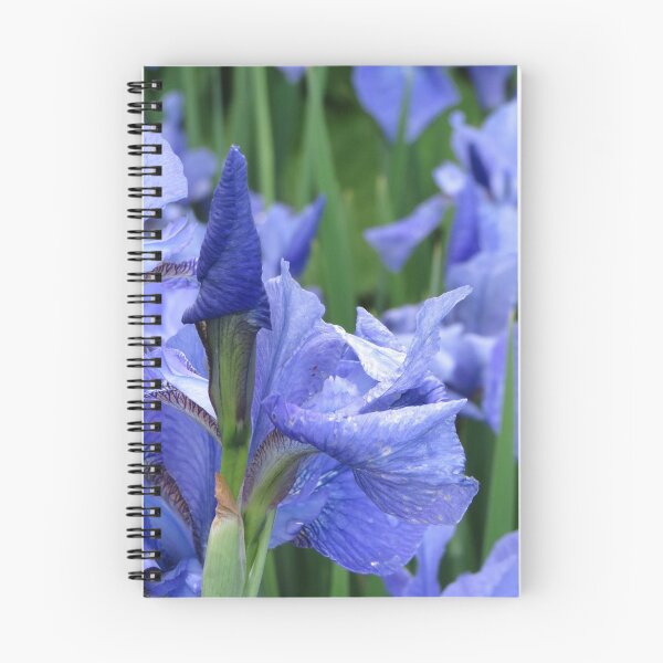Artikelvorschau, Blaue Flagge Iris entworfen und verkauft von Honey Myrtle Studio.