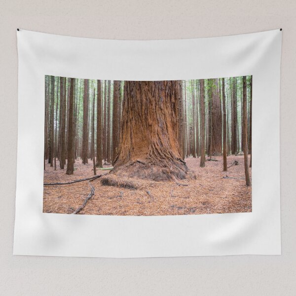Item preview, A Giant in the Whakarewarewa Forest , Rotorua, New Zealand designed and sold by ChristineJayne.