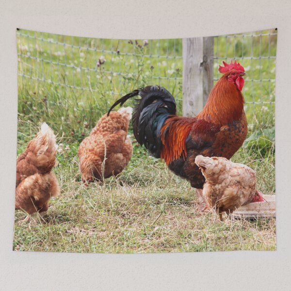 Item preview, Rooster & Lady Friends designed and sold by AnnDixon.