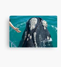 Incredible Close Encounter Canvas Print
