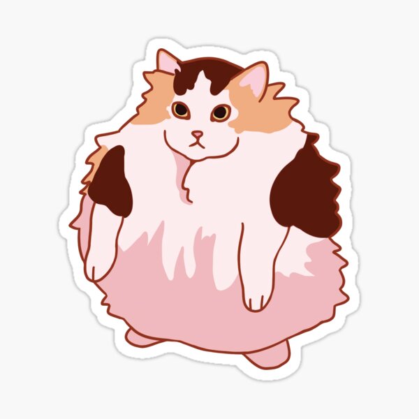 Loops cat. Sweet cat.