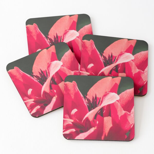 Item preview, Pink Flower Photo (Canna Lilly) designed and sold by LauraKCaldPhoto.