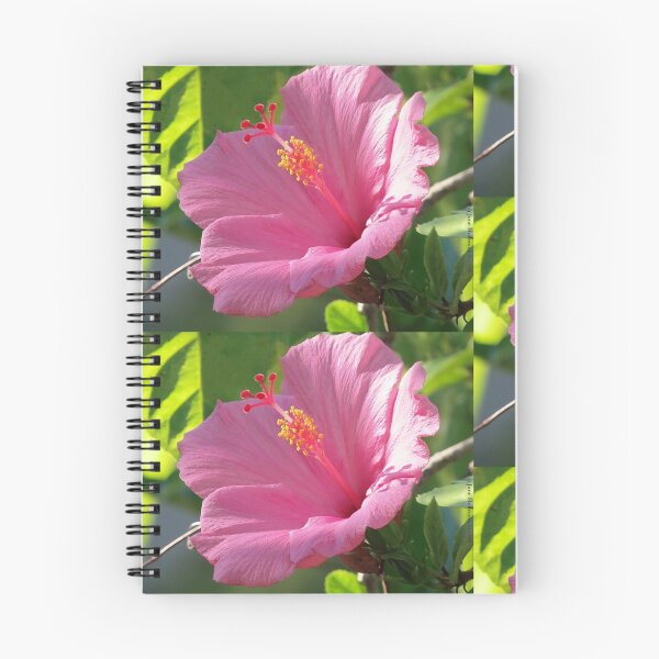 Item preview, Pretty Pink In The Sun designed and sold by June Holbrook.