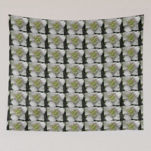 Item preview, Stamens releasing Pollen, Hellebore, Tumut, Australia. designed and sold by kaysharp.