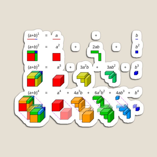 Mathematics, #Visualisation of #binomial #expansion up to the 4th #power Magnet