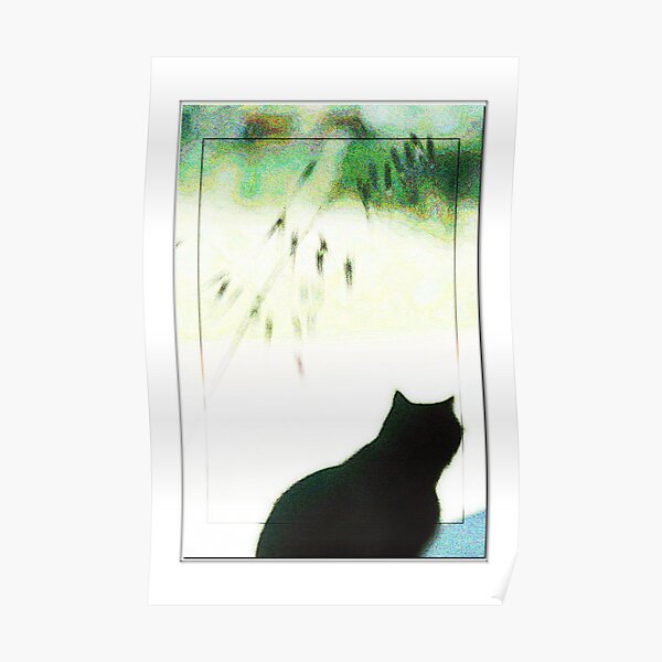 Black Cat Looking Out a Window Poster