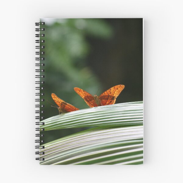 Item preview, Ready to fly! designed and sold by Robyn Williams.