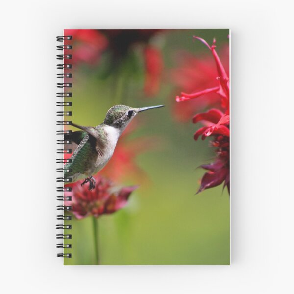 Item preview, The Hummer & The Bee Balm designed and sold by Kathleen Daley.