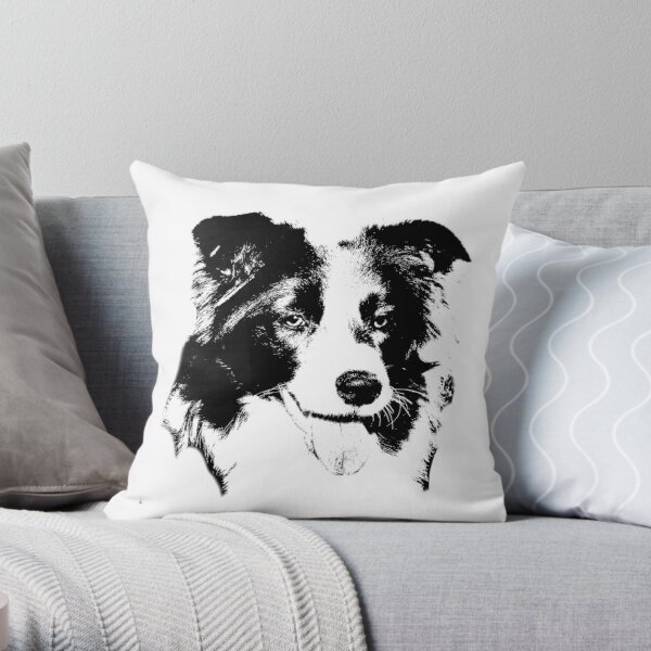 border collie cushions