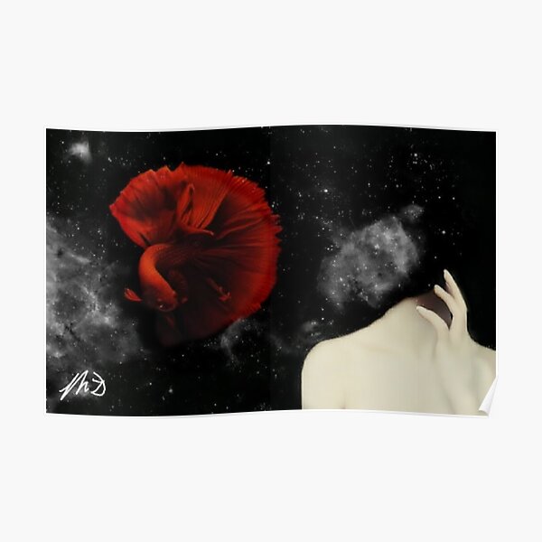 Lost in a Daydream of Space Poster