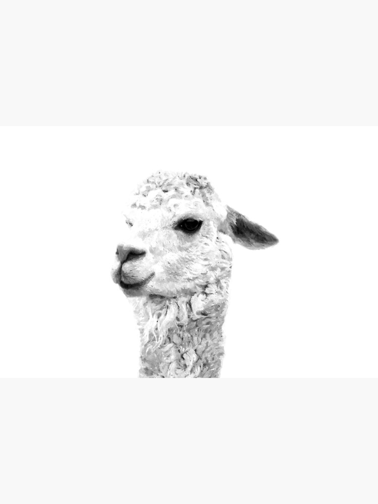 Black and White Llama by Alemi