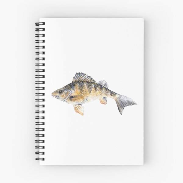 Item preview, Watercolor Perch Illustration designed and sold by Uplift Illustrations.