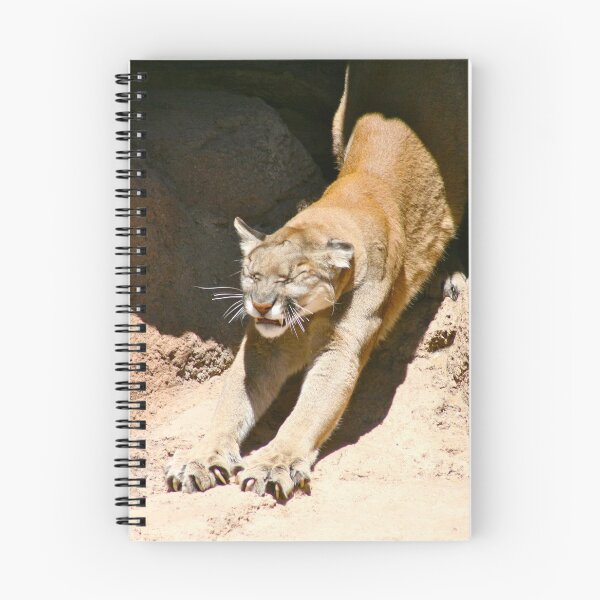 Item preview, Cougar Stretch... designed and sold by RichImage.