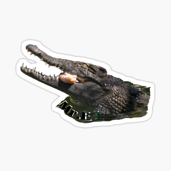 Mr. E the Nile Crocodile Sticker