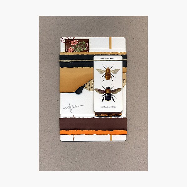 Bumblebees and Appletrees Photographic Print