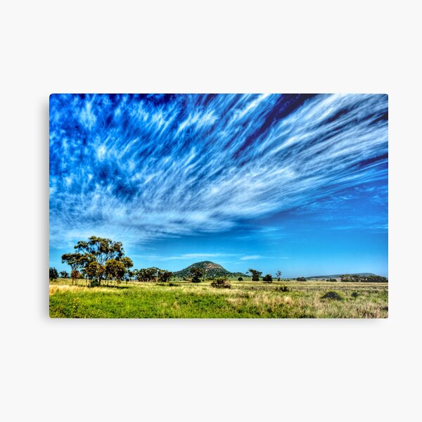 Arboreal Exhalation - Western NSW - Australia Metal Print