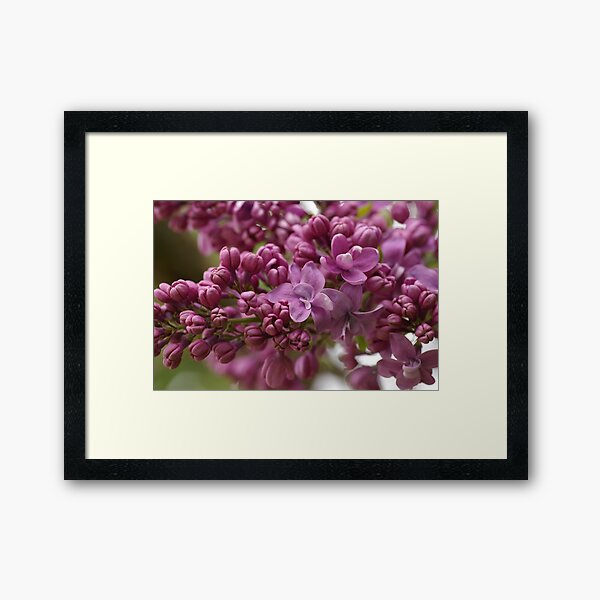 Item preview, Hoping for Spring! designed and sold by Tracey  Dryka.