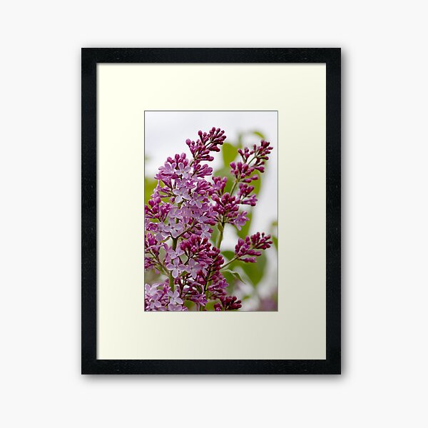 Item preview, This Buds for you !! designed and sold by Tracey  Dryka.