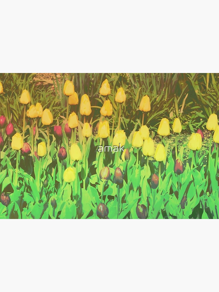 Card: Tulips by amak