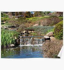Japanese Garden at Cowra Poster