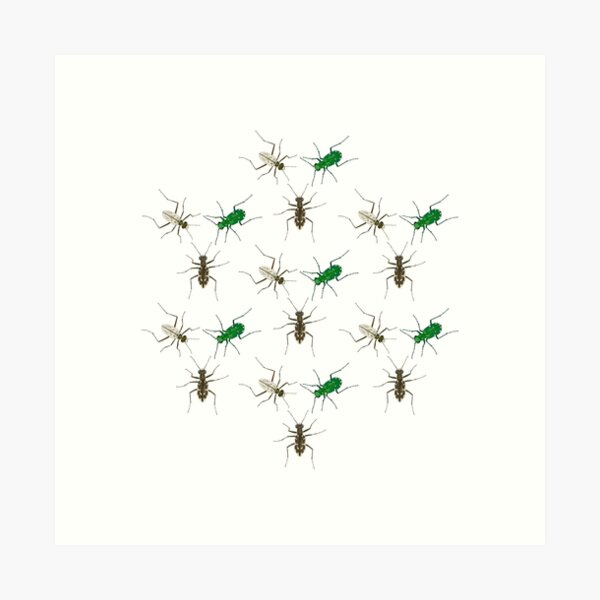 Tiger Beetle Pattern Art Print