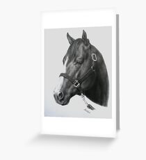 Quarter Horse Greeting Card
