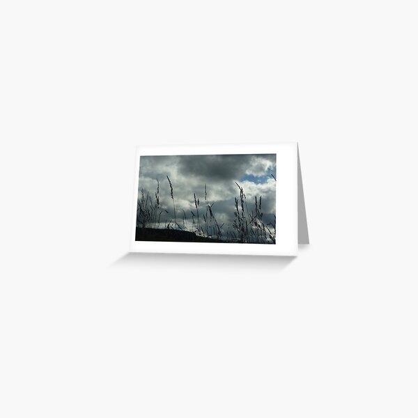 Wind swept Greeting Card