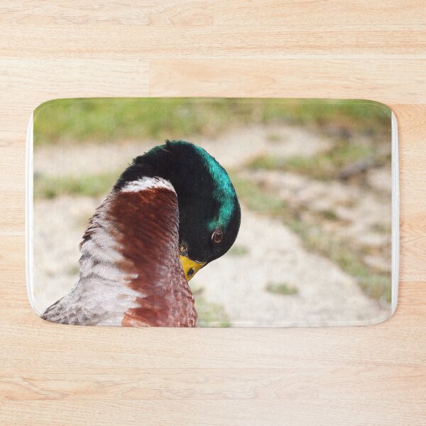 Item preview, Preening mallard  designed and sold by GreyFeatherPhot.