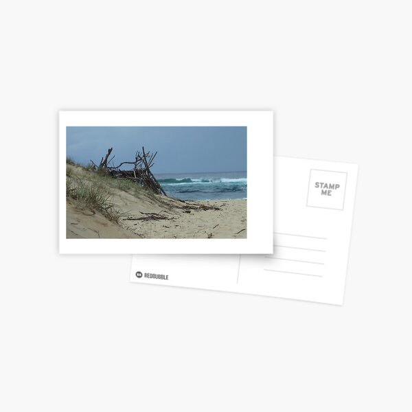 Childs Play Postcard