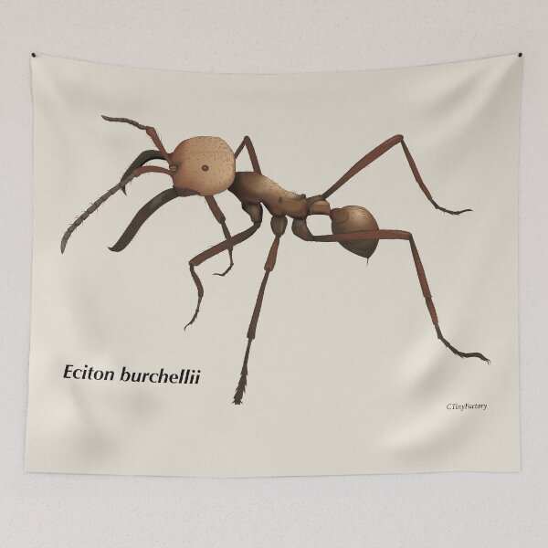 Item preview, Soldier ant designed and sold by C-Tiny-Factory.