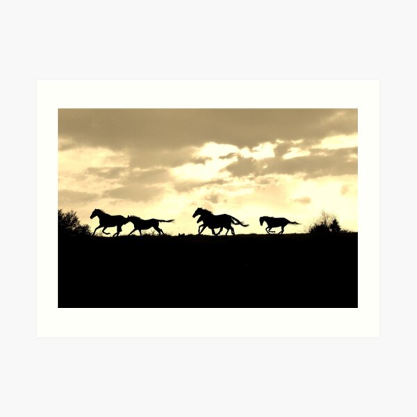 Untitled Art Print