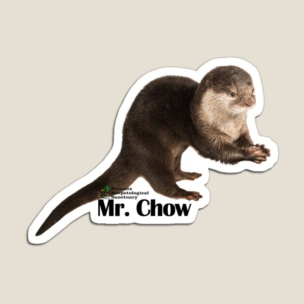Mr. Chow the Asian Small Clawed Otter Magnet