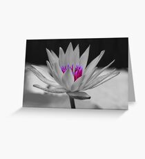 the secret inside Greeting Card
