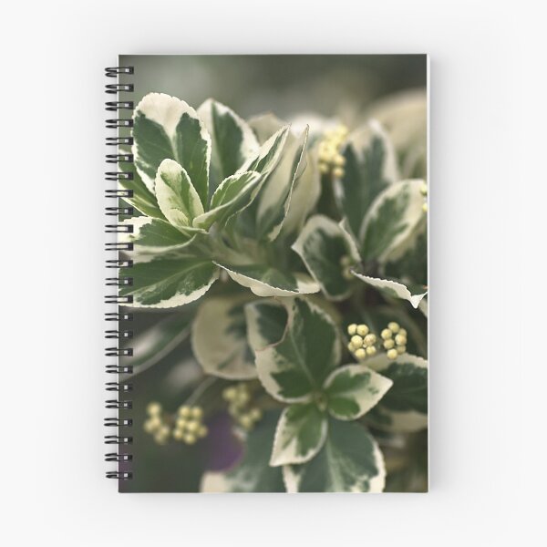 Artikelvorschau, Veränderte Blätter entworfen und verkauft von Joy Watson - Natural Light Photography .