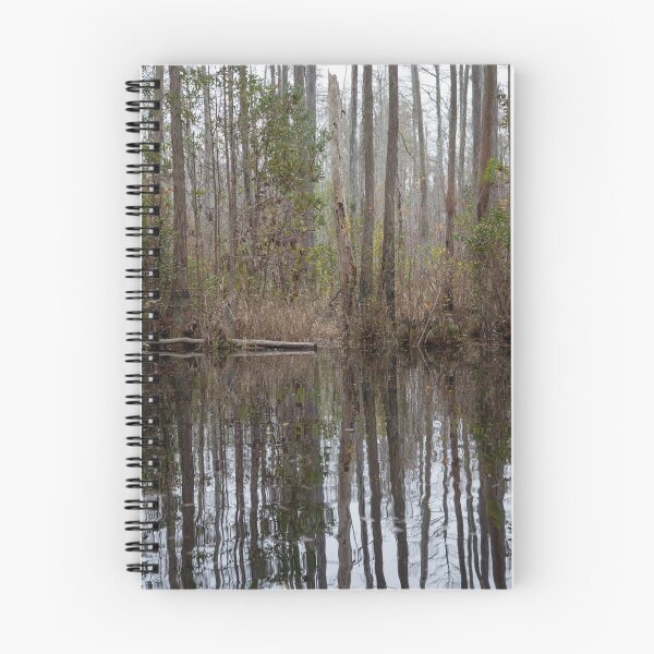 Item preview, Trees reflected in swamp water in early morning at Okefenokee Swamp, Georgia designed and sold by Allen Penton.