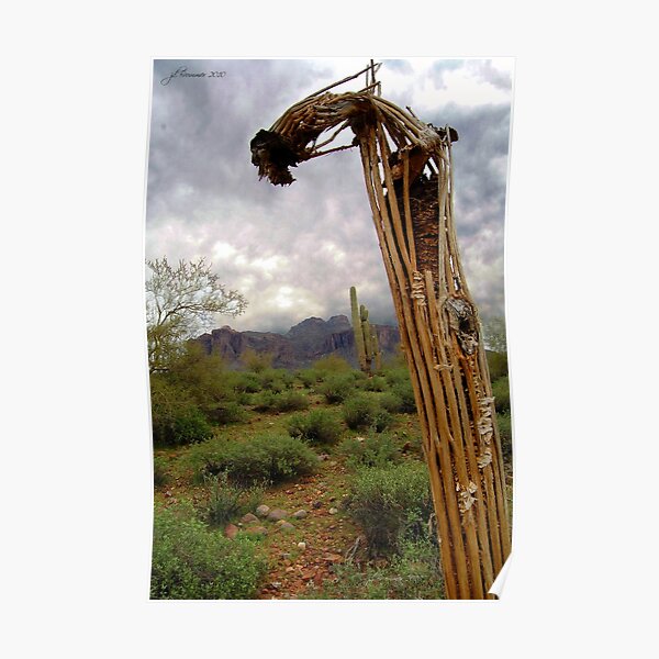 Bent Over Backwards Poster