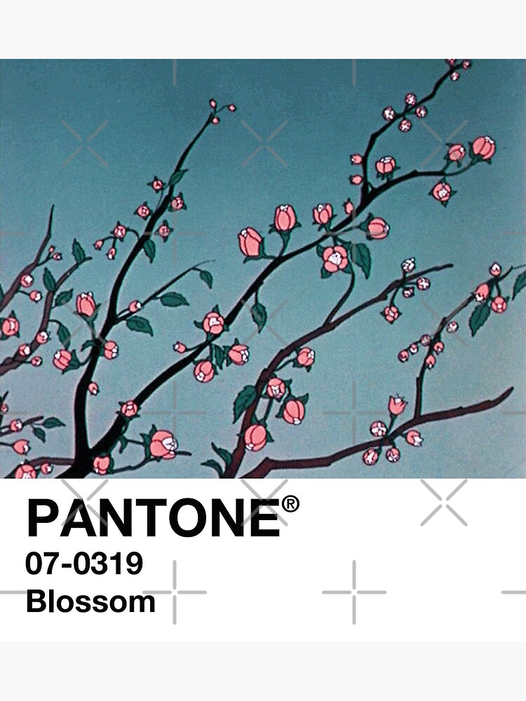 blossom pantone 90s anime aesthetic postcard by sach8 redbubble redbubble