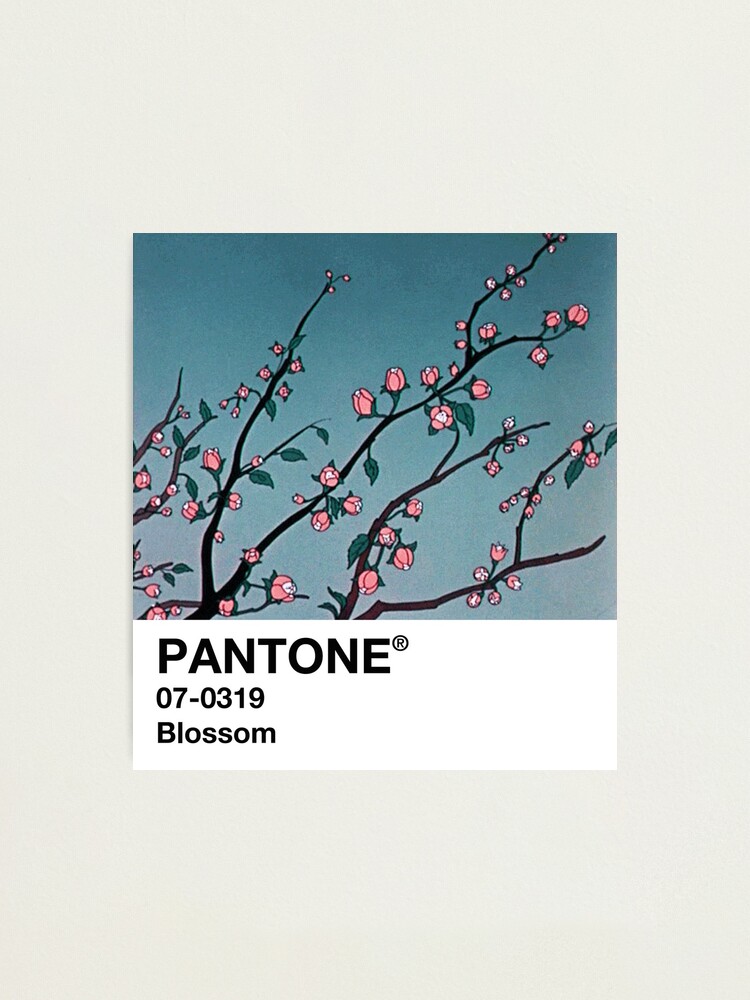 blossom pantone 90s anime aesthetic photographic print by sach8 redbubble