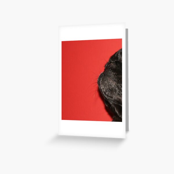 Pug Profile Greeting Card