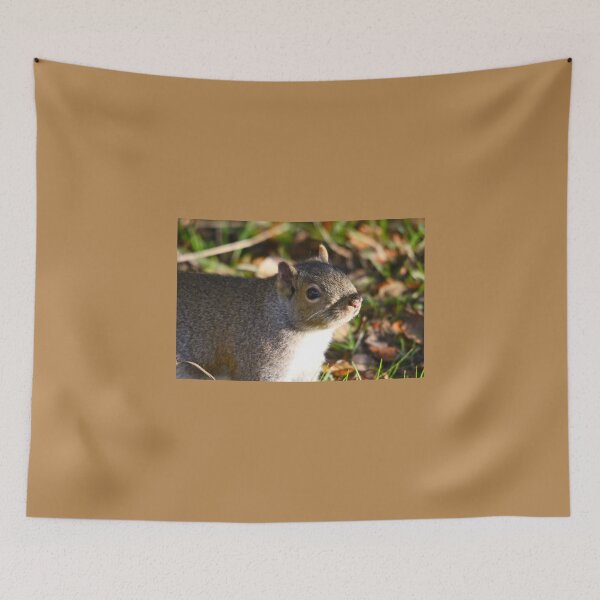 Item preview, Cute Squirrel saying hello designed and sold by RichImage.